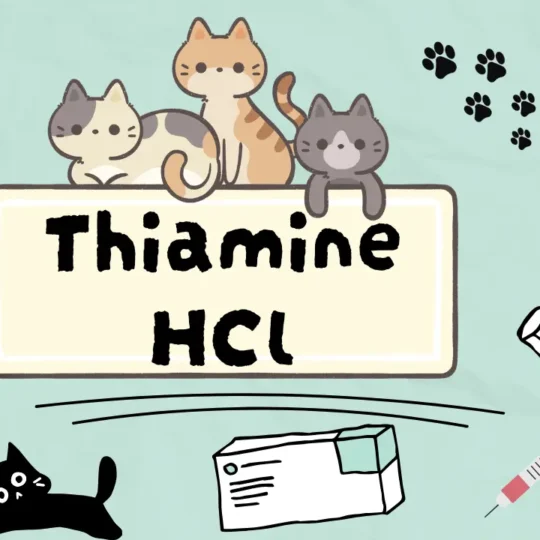 الثيامين هيدروكلوريد للقطط