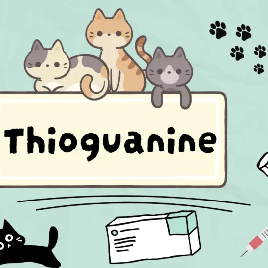 ثايغوانين للقطط