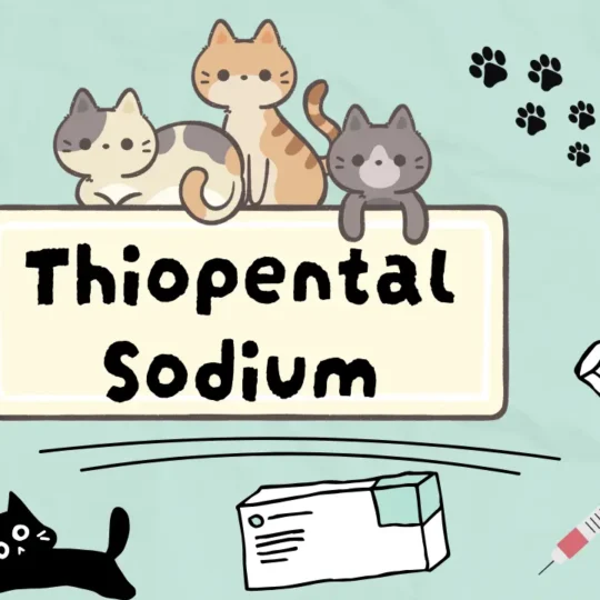ثيوبنتال صوديوم للقطط