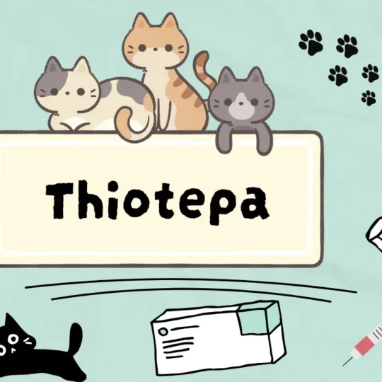 ثايوتيبا للقطط