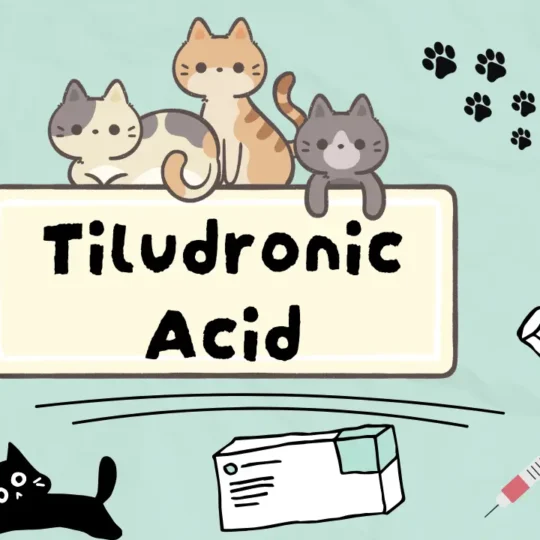 تيلودرونيك أسيد للقطط