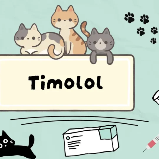 تيمولول للقطط