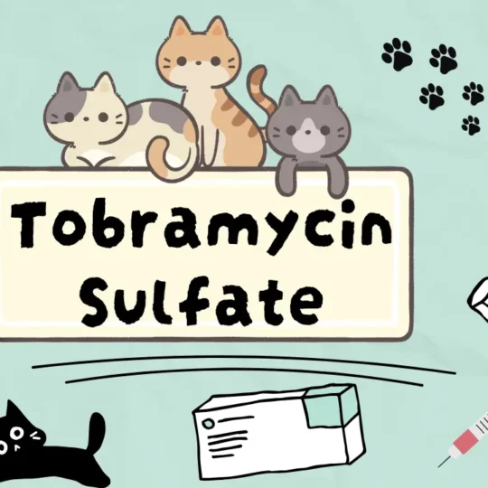 توبراميسين سلفات للقطط