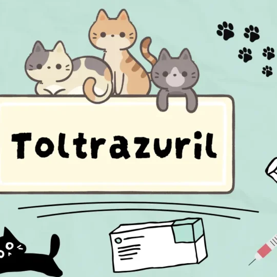 تولترازوريل للقطط