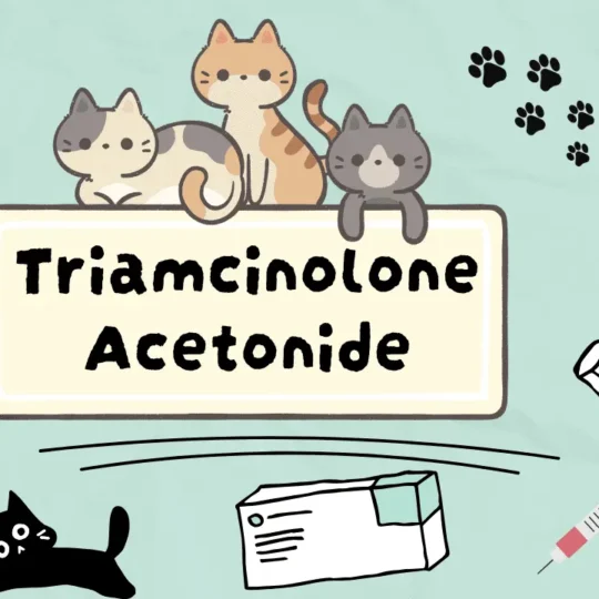 تريامسينولون أسيتونيد للقطط