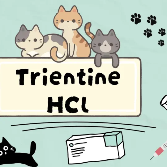 ترايينتين هيدروكلورايد للقطط