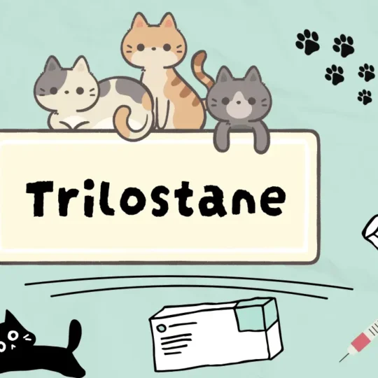 تريلوستان للقطط