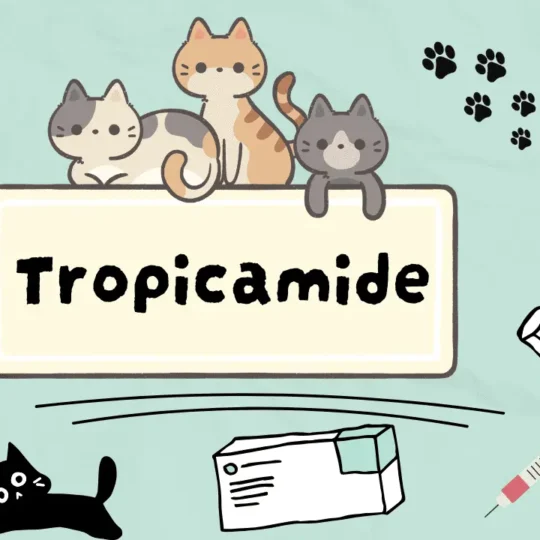 تروبيكاميد للقطط
