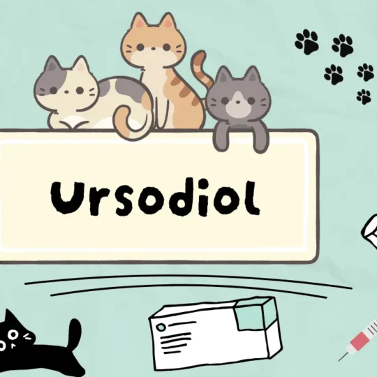 أورسوديول للقطط