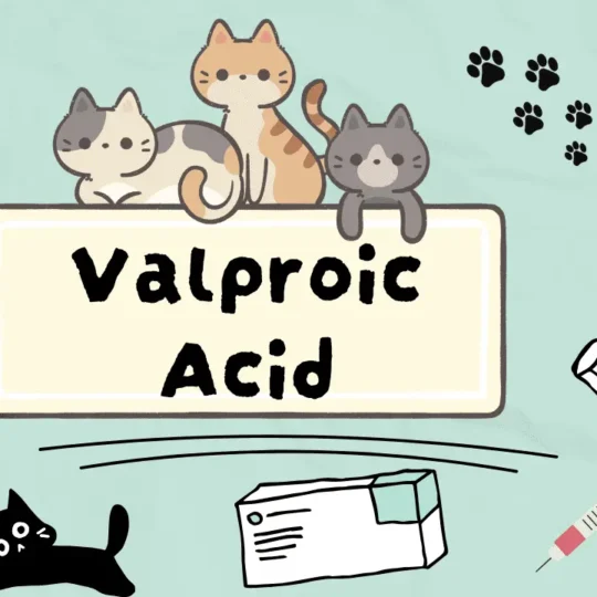 حمض الفالبرويك للقطط