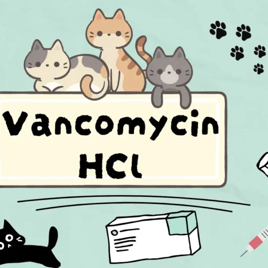 فانكومايسين هيدروكلوريد للقطط