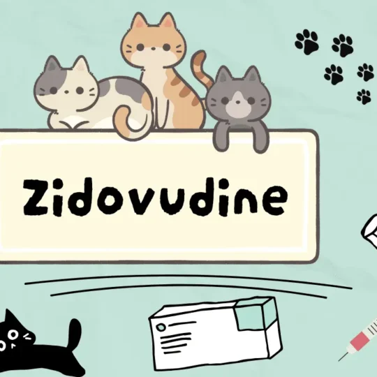 زيدوفودين للقطط