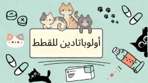 أولوباتادين للقطط