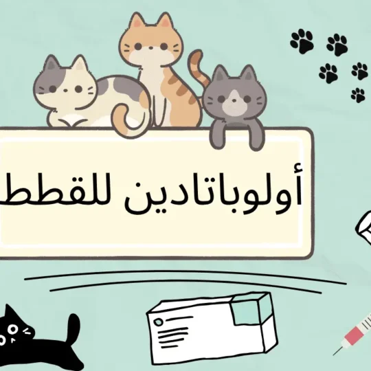أولوباتادين للقطط